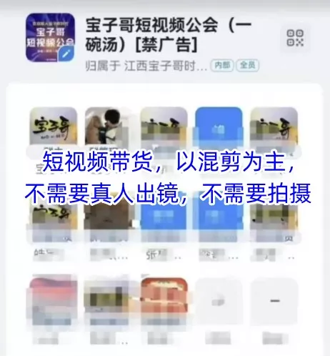 宝子哥头部团队短视频带货，以混剪为主，不需要真人出镜，不需要拍摄【更新11月】 - 项目资源网