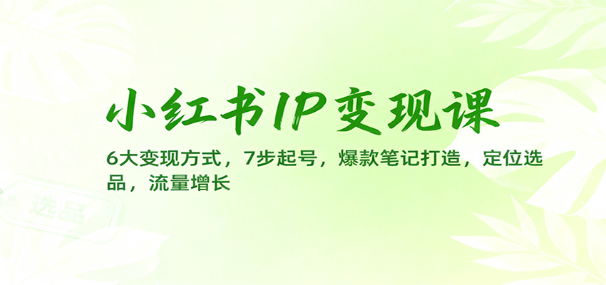 小红书IP变现课：6大变现方式，7步起号，爆款笔记打造，定位选品，流量增长 - 项目资源网