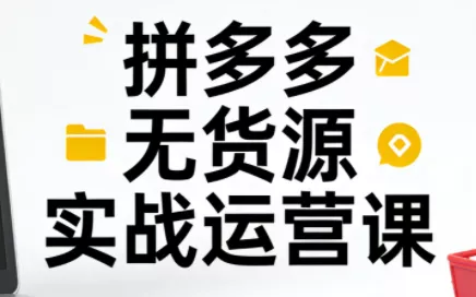 子枫老师·拼多多无货源实战运营课(更新12月) - 项目资源网