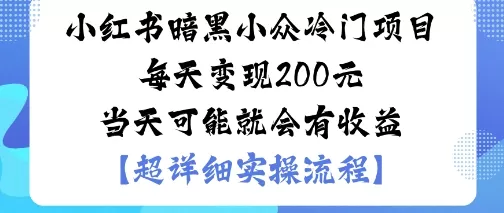 小红书暗黑小众冷门项目每天变现2张当天可能就会有收益 - 项目资源网