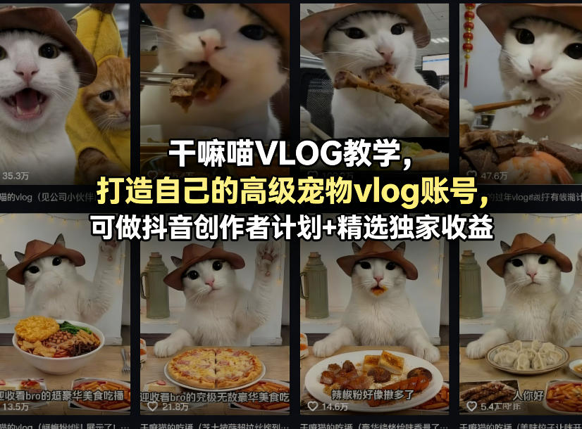干嘛喵VLOG教学，打造自己的高级宠物vlog账号，可做抖音创作者计划+精选独家收益 - 项目资源网