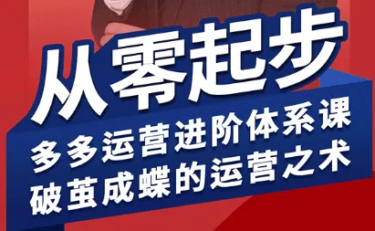 海神·拼多多运营进阶系统课(更新2026)