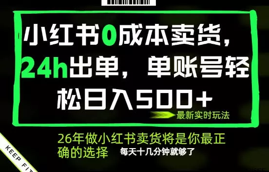 小红书0成本AI卖货，24小时出单，全流程托管，保底日入500+，每天十几分钟就够了【揭秘】 - 项目资源网
