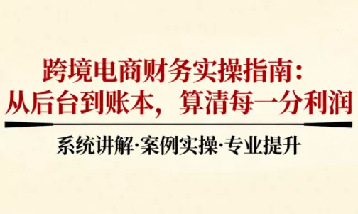 2025跨境电商财务实操指南 - 项目资源网