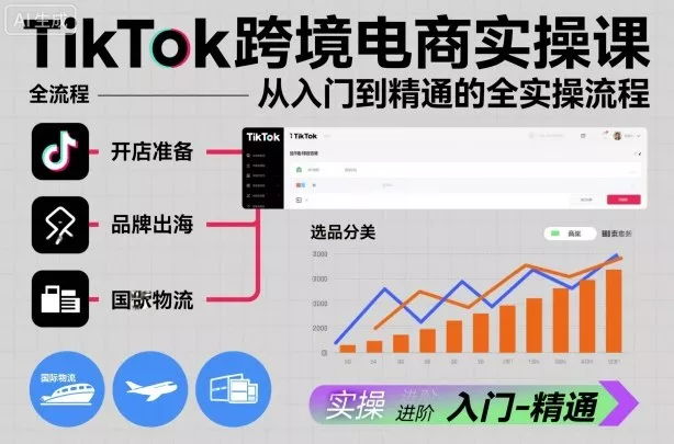 TikTok跨境电商实操课，从入门到精通的全实操流程 - 项目资源网